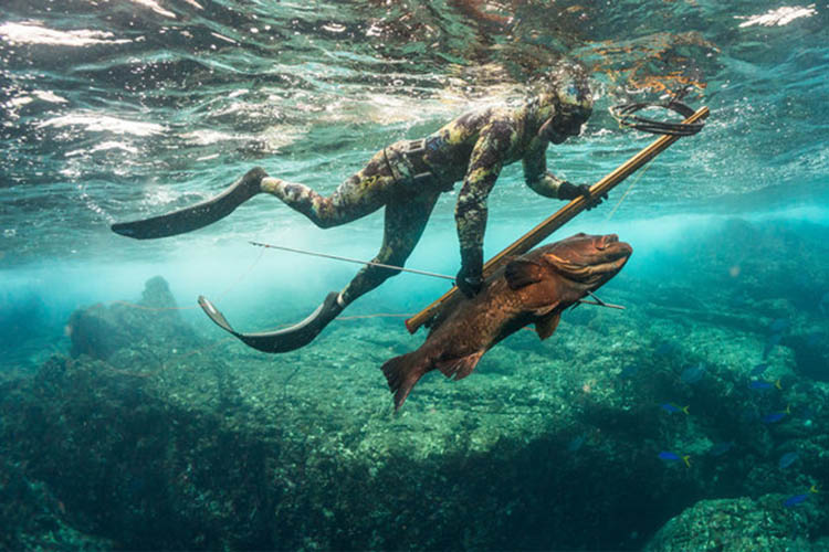 Spearfishing