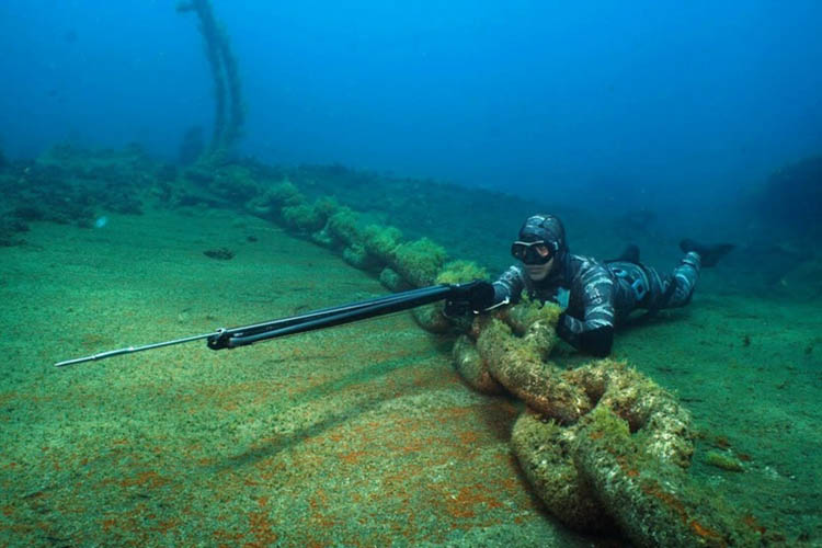 Dive Flag 101: Diver Down Flag Rules for Boaters and Divers - Florida  Sportsman