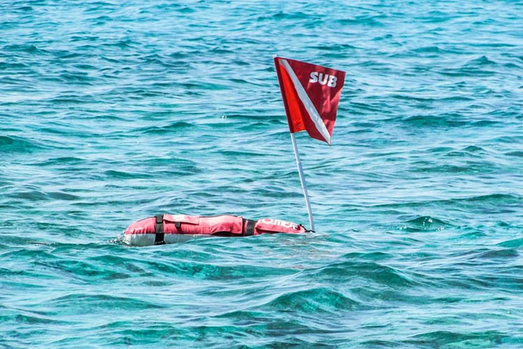 Floating dive flag.