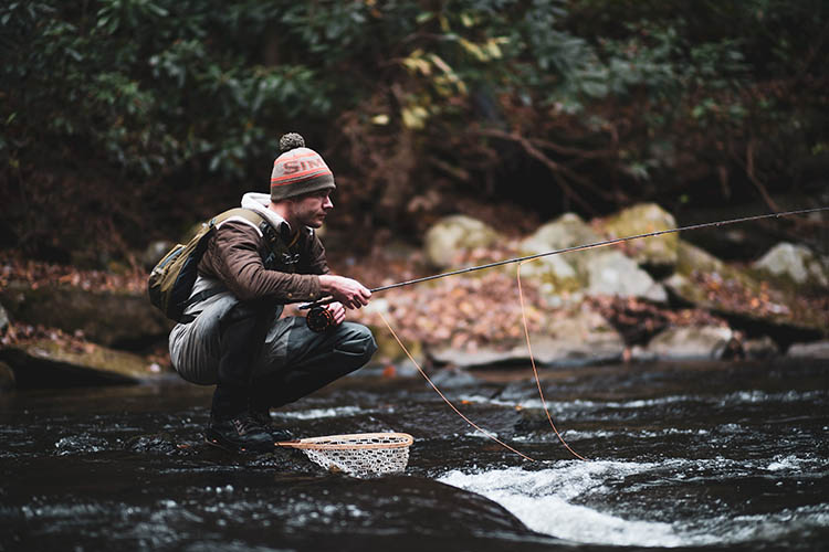 Cover image for the post Best Fly Rod and Reel Combos for Freshwater Fishing