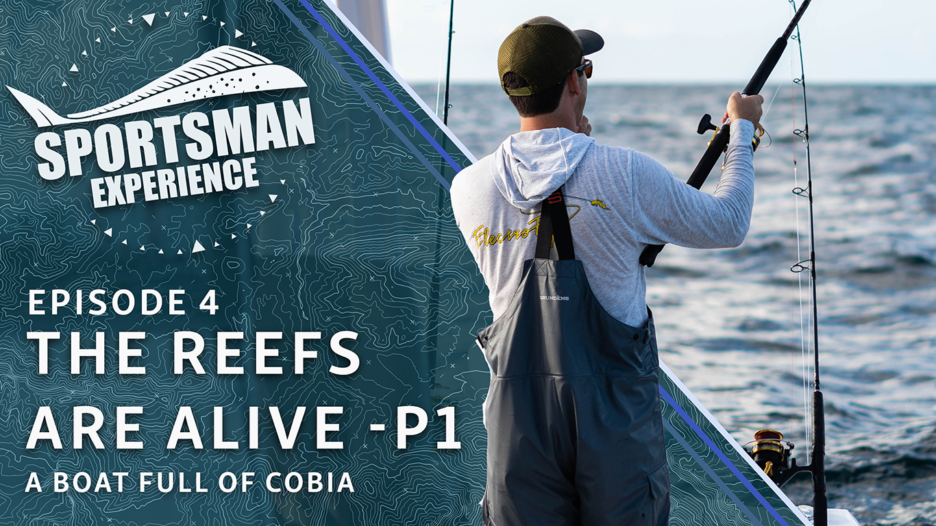 Cover image for the post The Reefs Are Alive Part 1 – A Boat Full of Cobia - "The Sportsman Experience" - Episode 4