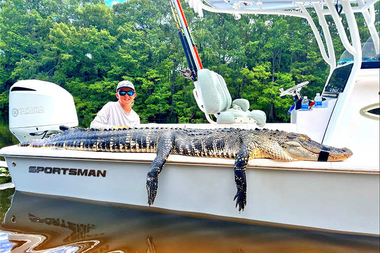 Gator Hunting From A Sportsman Boat