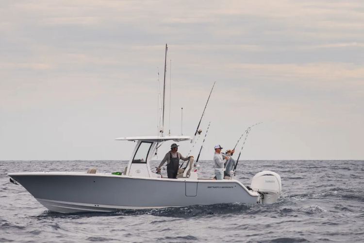 Cover image for the post The Best Boating Apps for 2025: Navigation, Fishing & Docking Made Easy
