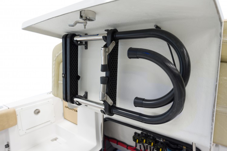 Detail image of Removable Side Entry Ladder