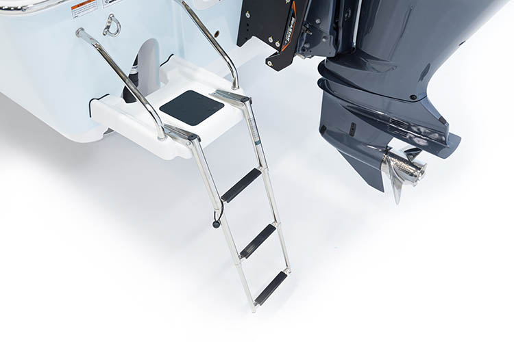 Detail image of Swim Platform w/ 3-Step Ladder