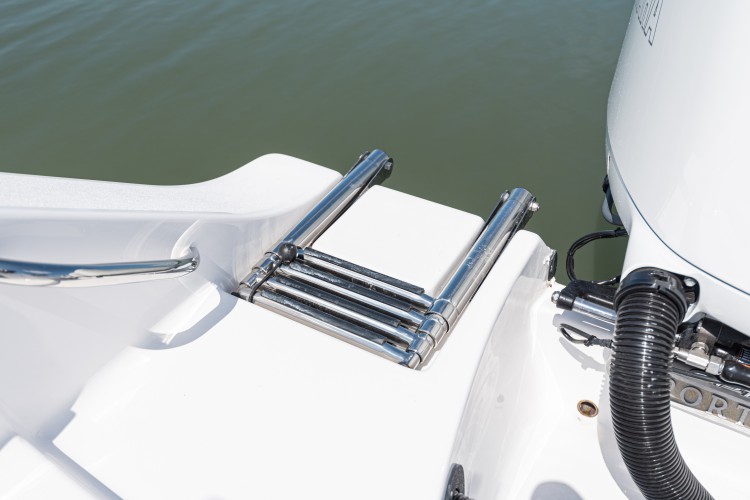 Detail image of Boarding Ladder