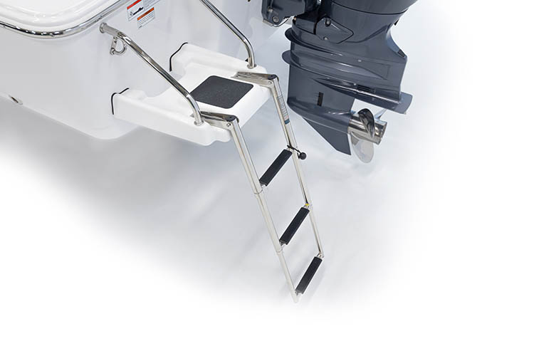 Detail image of Swim Platform w/ 3-Step Ladder