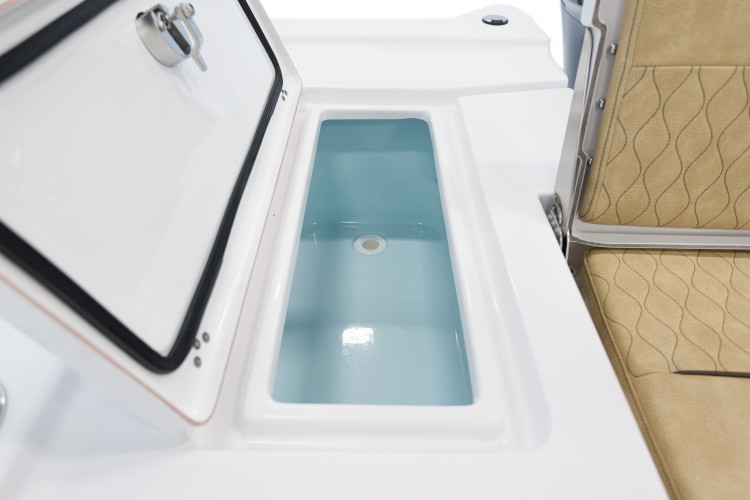 Detail image of 20-Gallon Starboard Rear Livewell