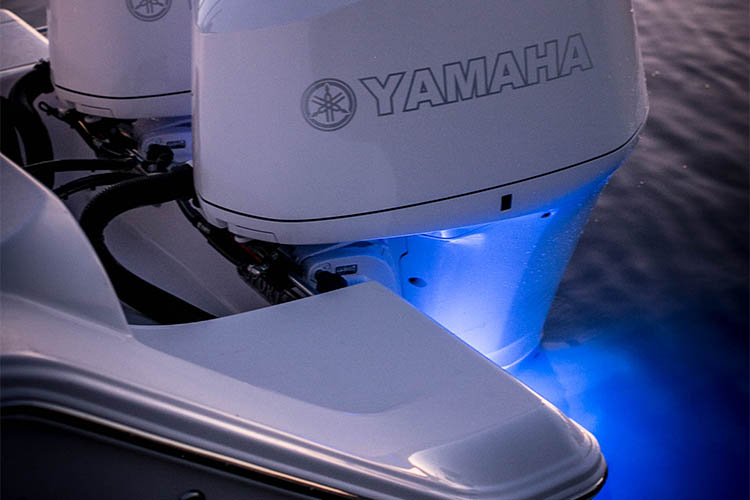 Detail image of Underwater Lights