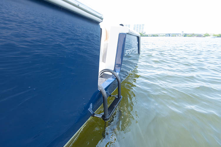 Detail image of Removable Side Entry Ladder