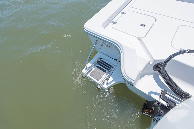 Detail image of Swim Platform w/ 3-Step Ladder