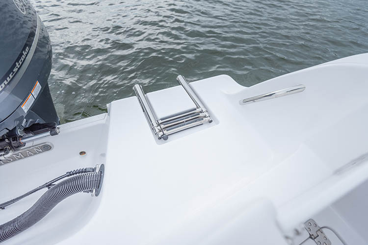Detail image of Boarding Ladder
