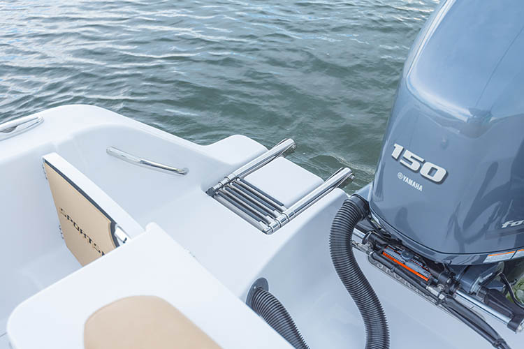 Detail image of 3-Step Boarding Ladder