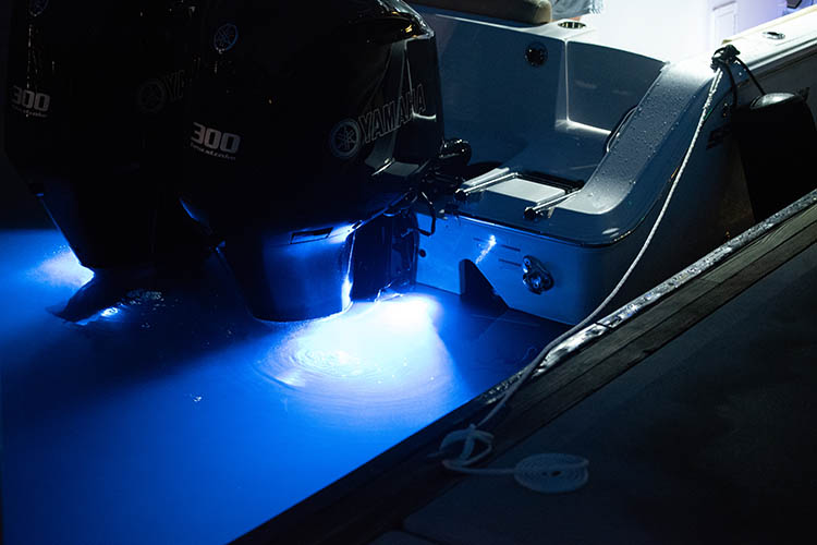 Detail image of Underwater Lights