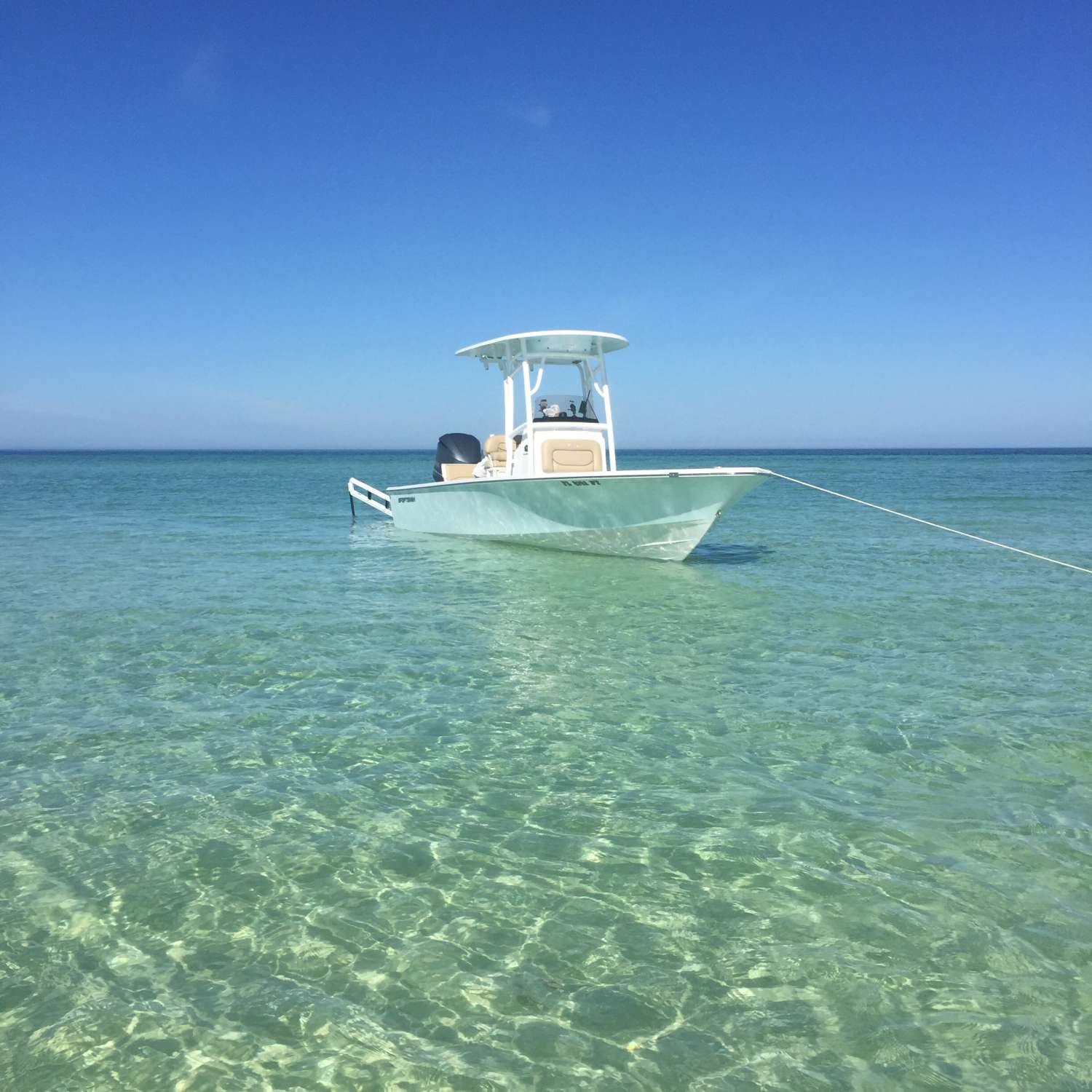 Taken at Anclote Key 12/12/15. Not a bad way to spend a weather day.