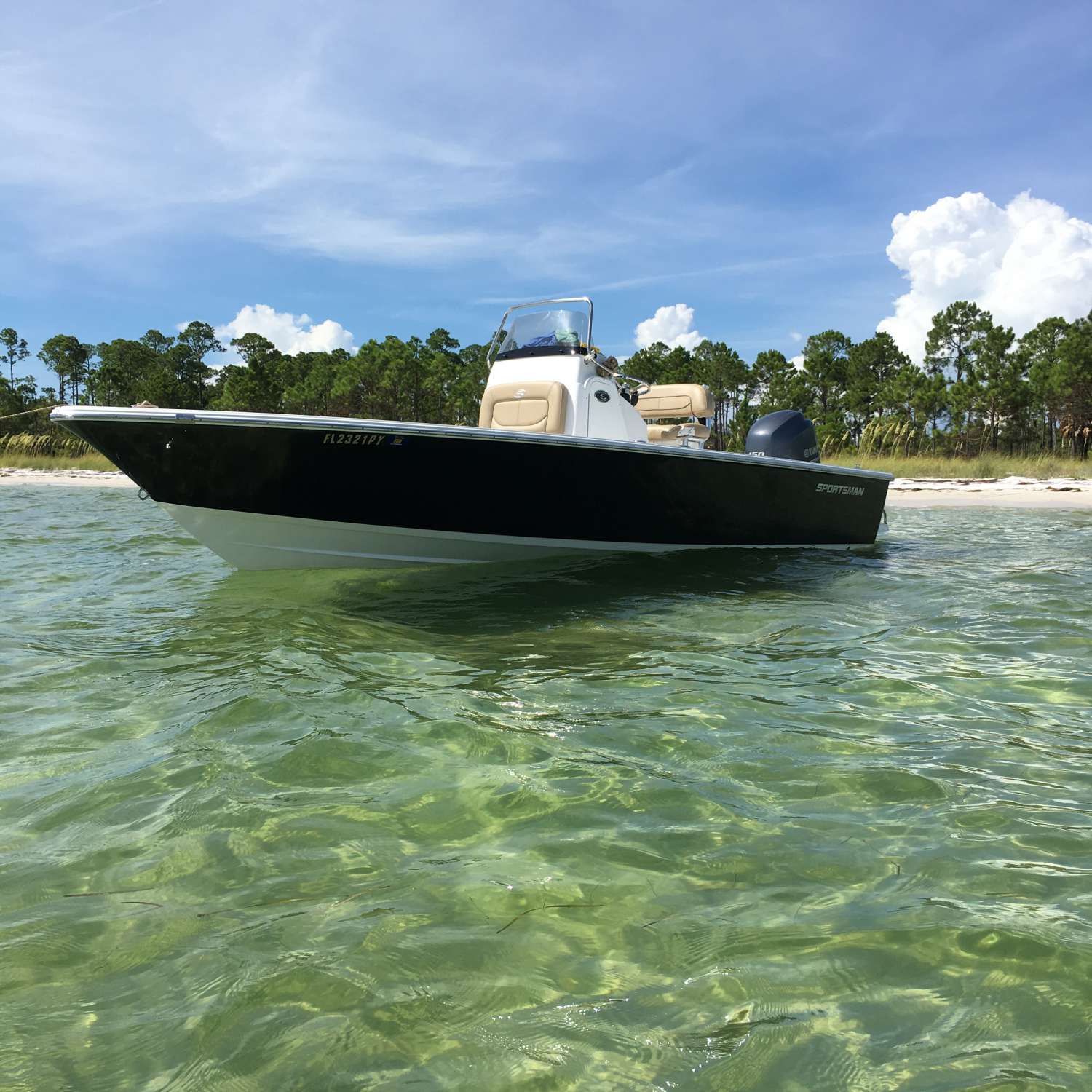 This photo was taken off of the shore of Shell Island in Panama City Beach. This is where everybody with...