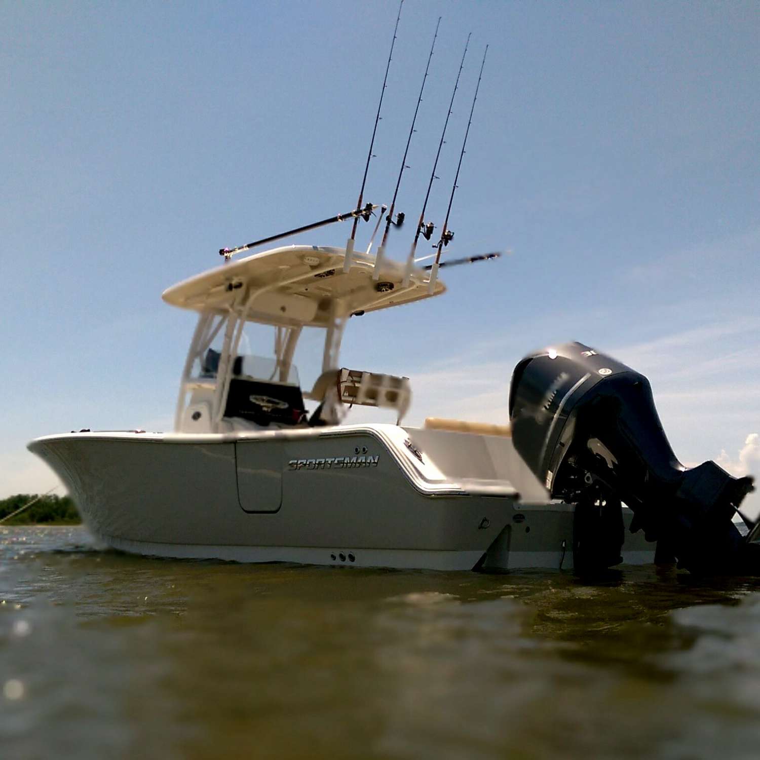 Conquest beach, Chester river