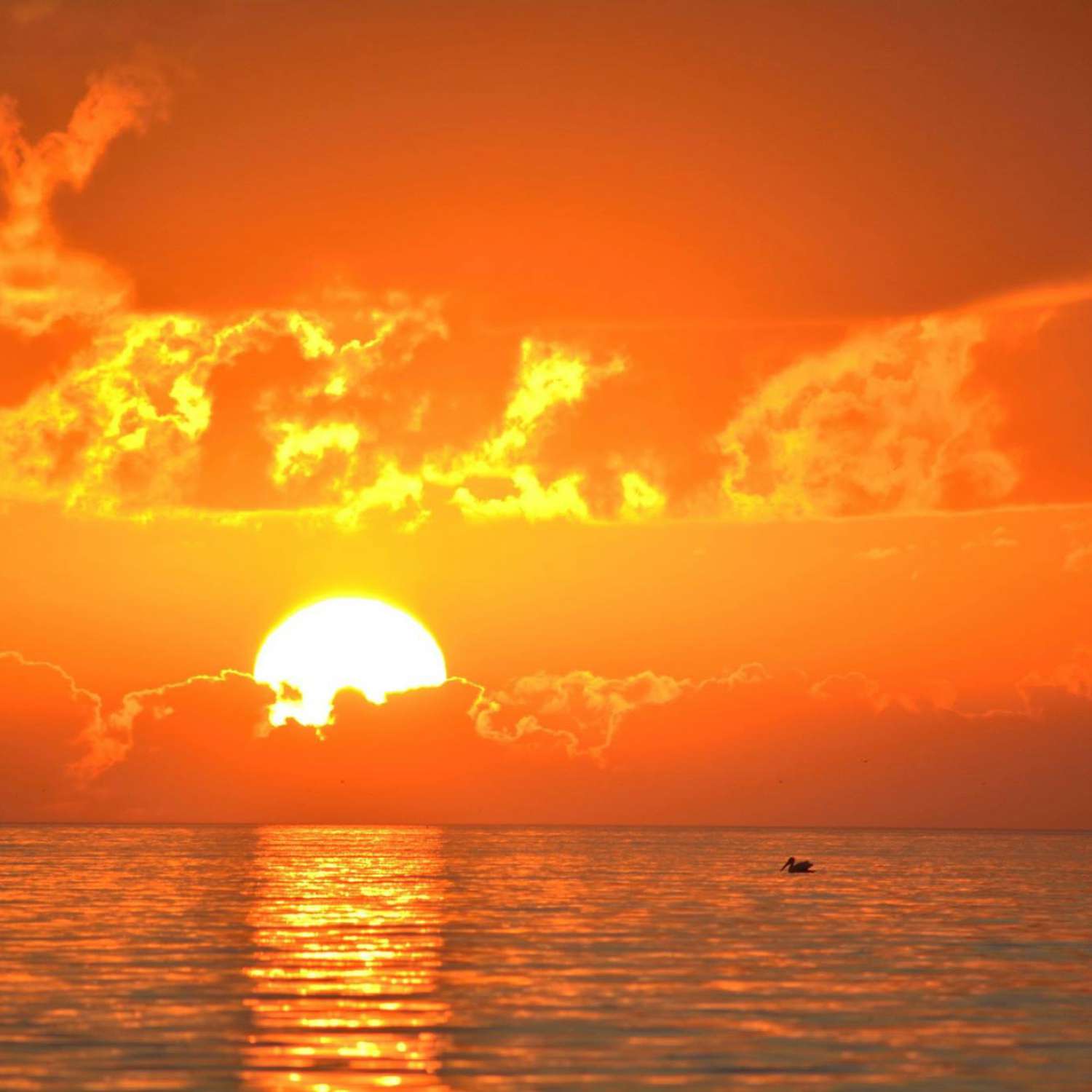 Sunrise photo taken at Sapelo Sound Georgia 2014.