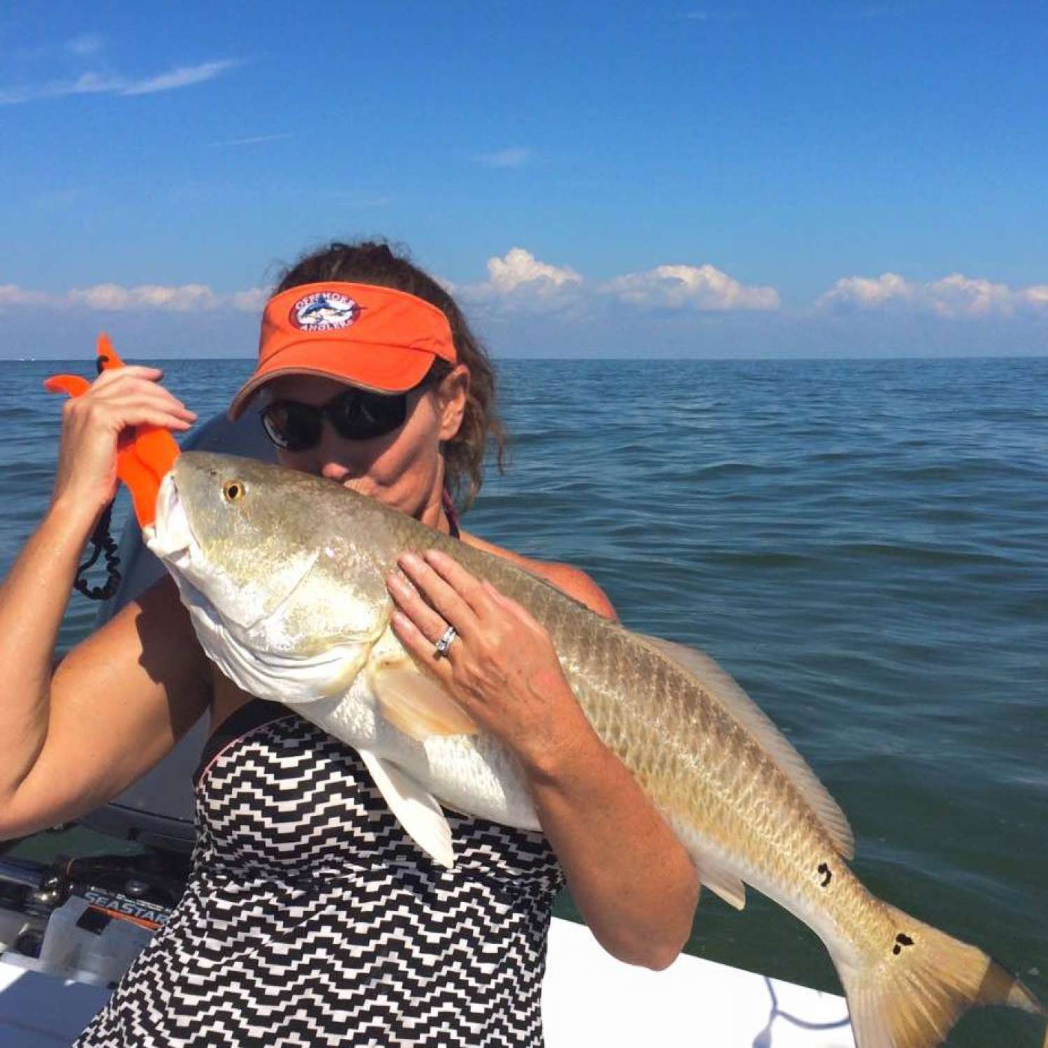 My photo was taken out of Cedar Key Florida.  My husband and I were out fishing and saw a school...