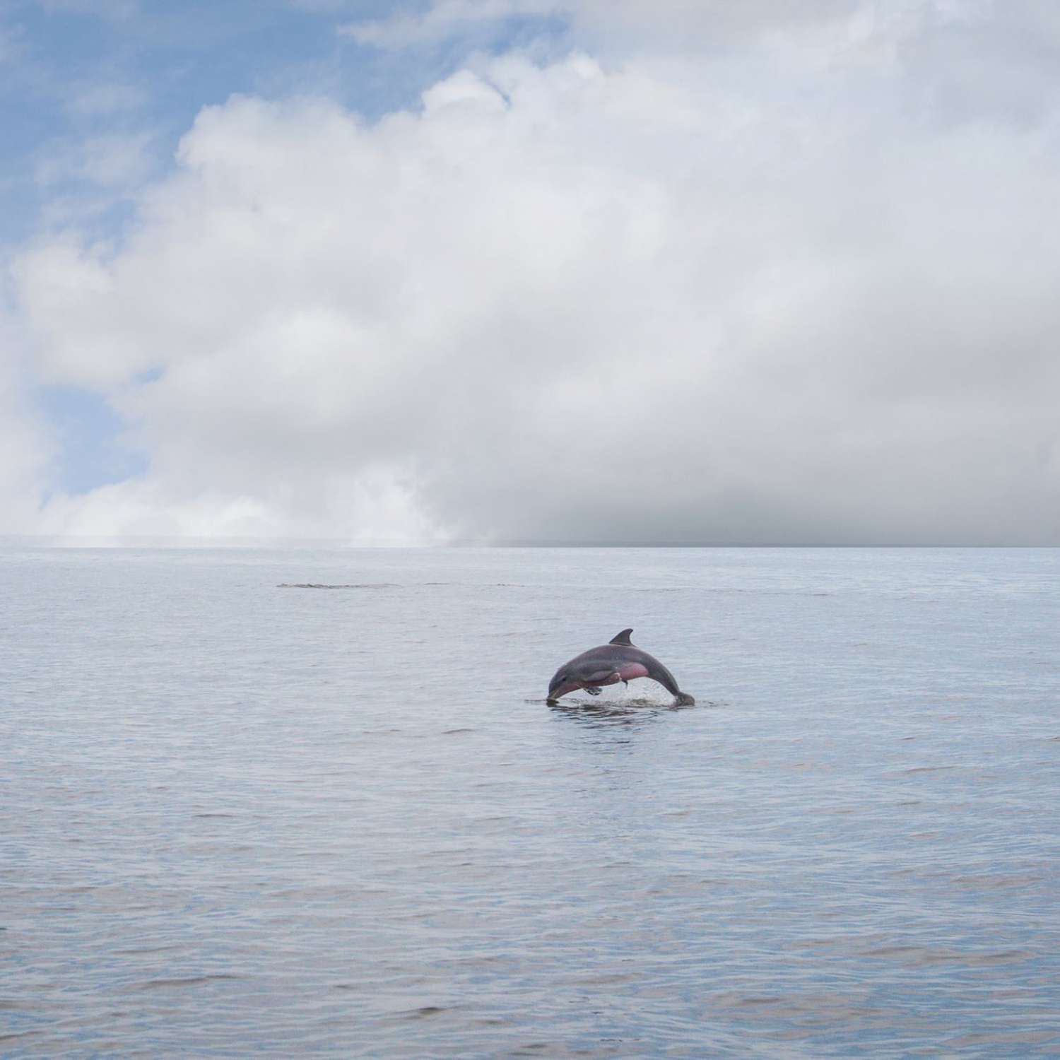 This photo was taken out of Wacassassa  Florida.  I was laying on the front of the boat and was...