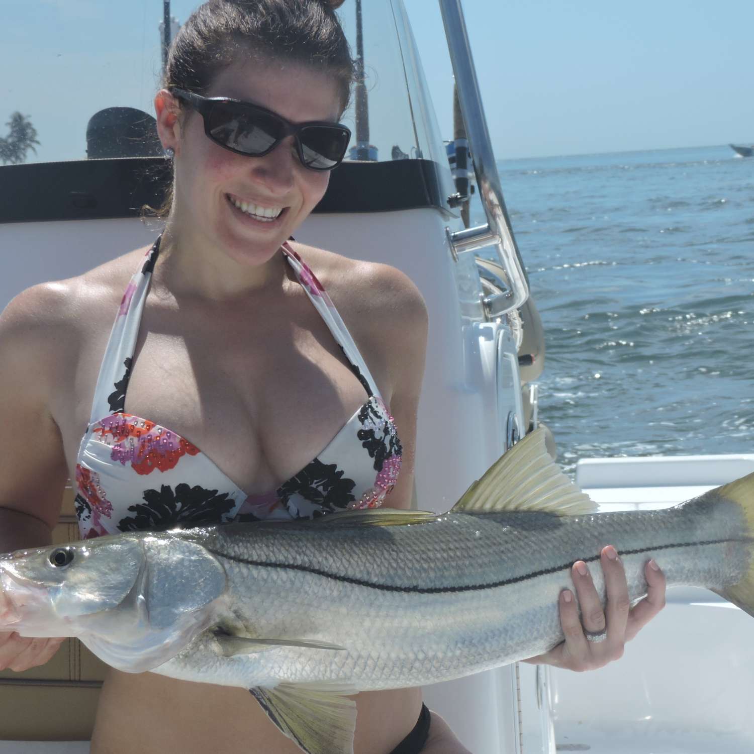 Stuart Fl Snook for dinner