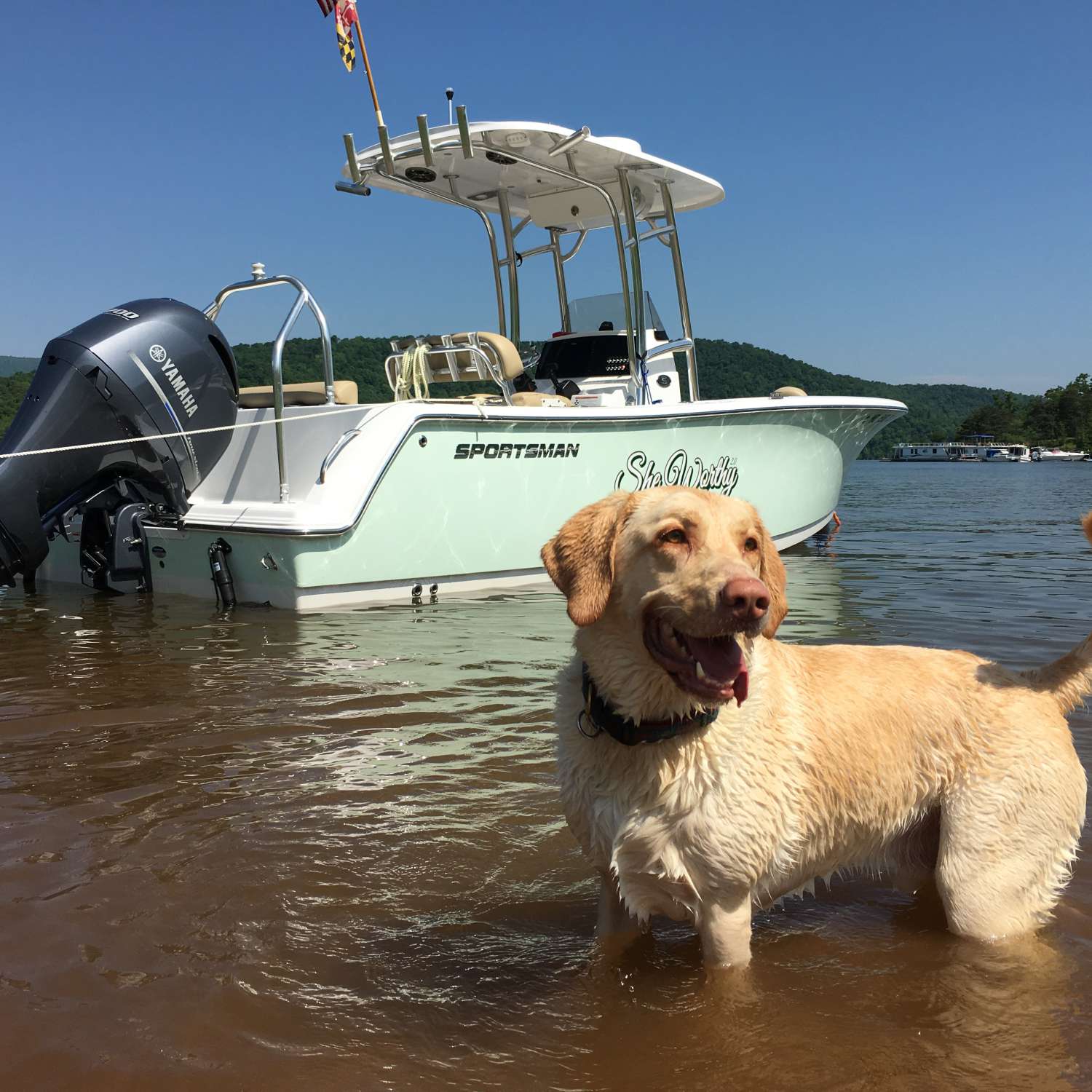 Getting ready to 'air dry' our dog on Raystown Lake in PA.