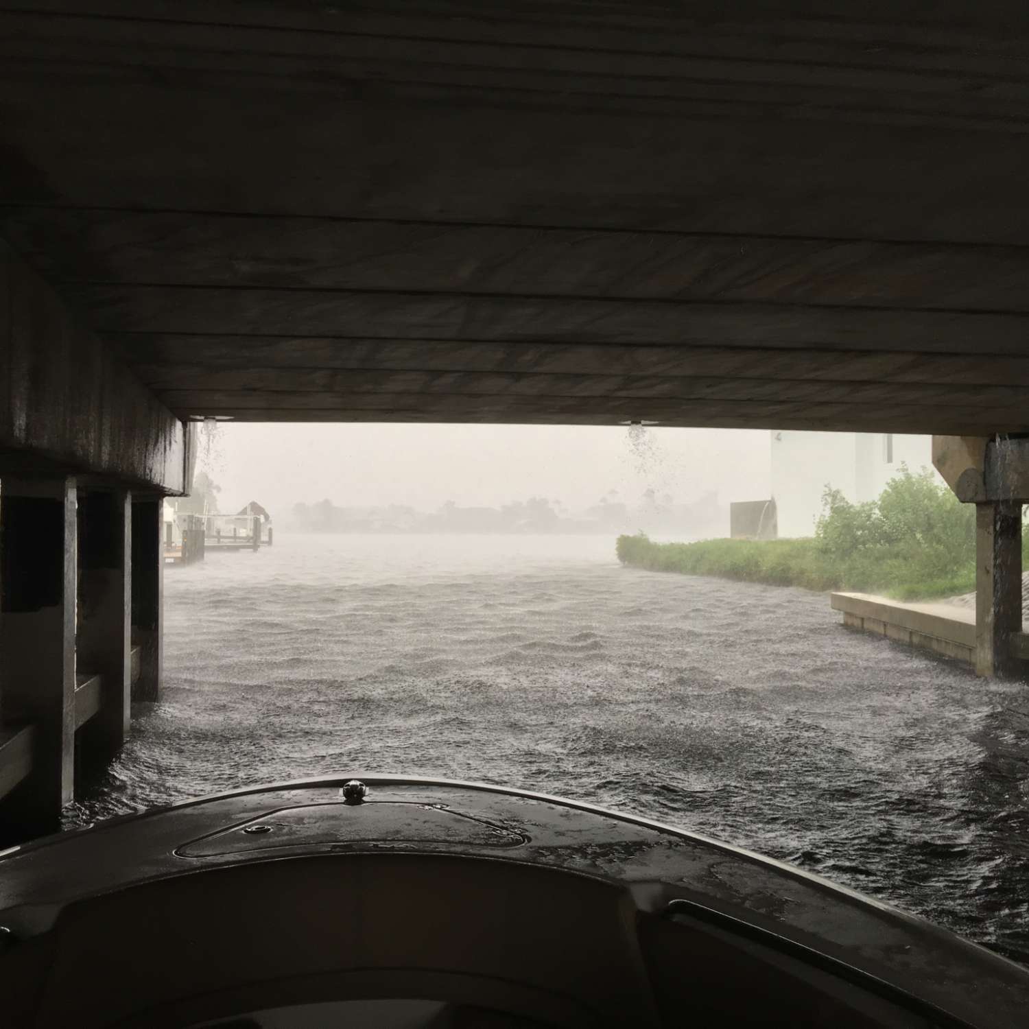 Cape Coral, Florida. Hiding under a overpass bridge during a downpour, not even 1 mile from home.