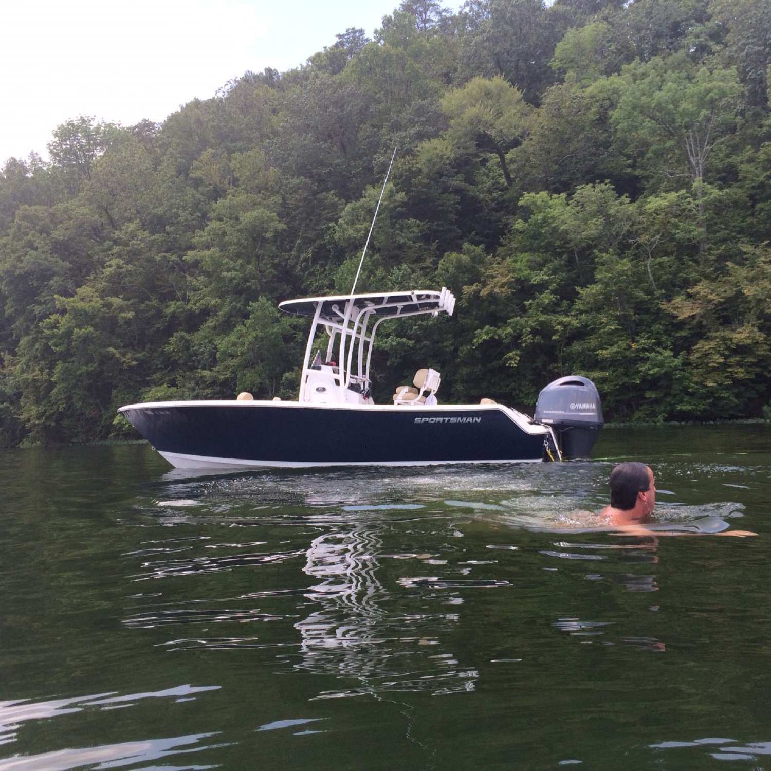 Black Warrior River, AL

Swimming away from a dream.