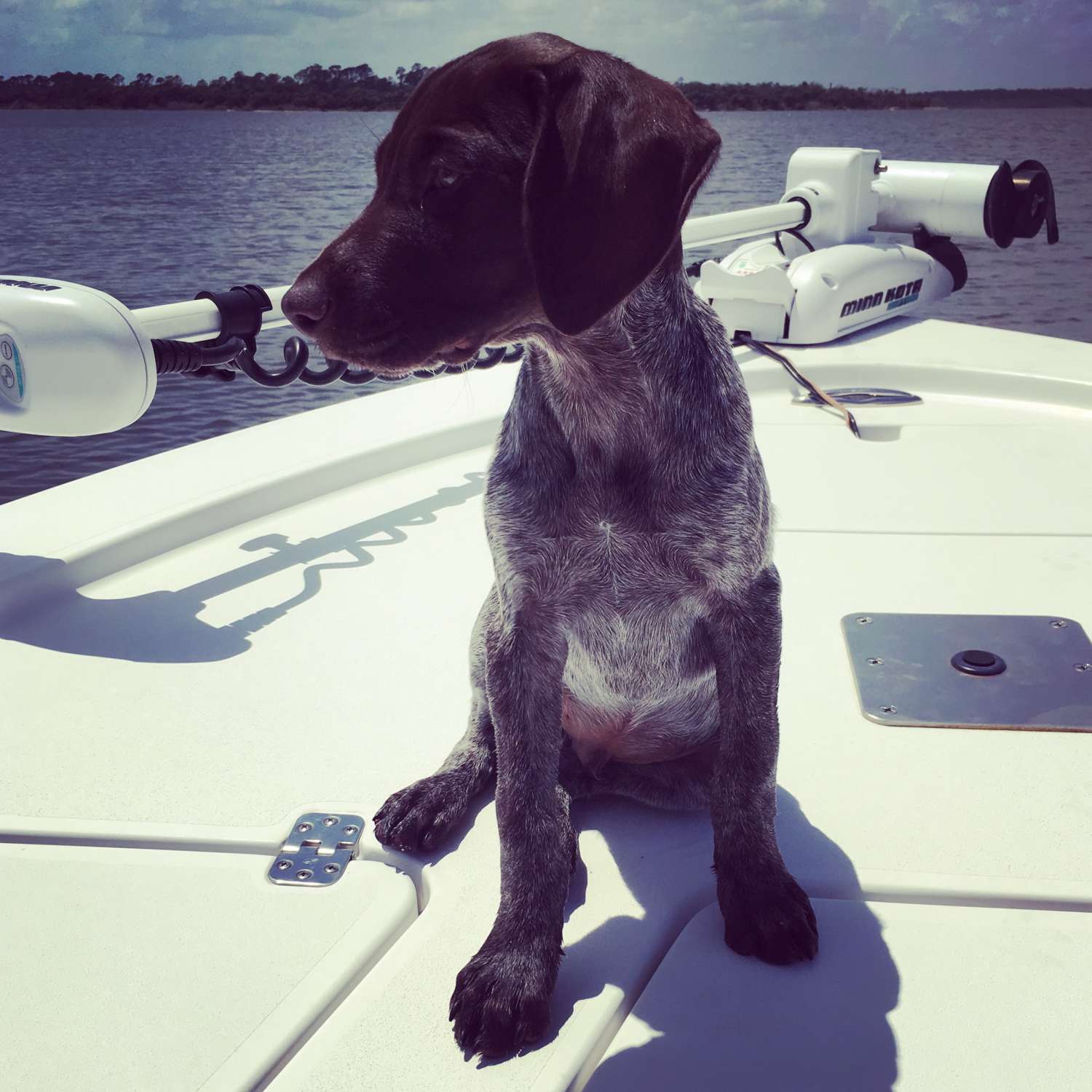 Took our puppy, Levi, out on the river for the first time!