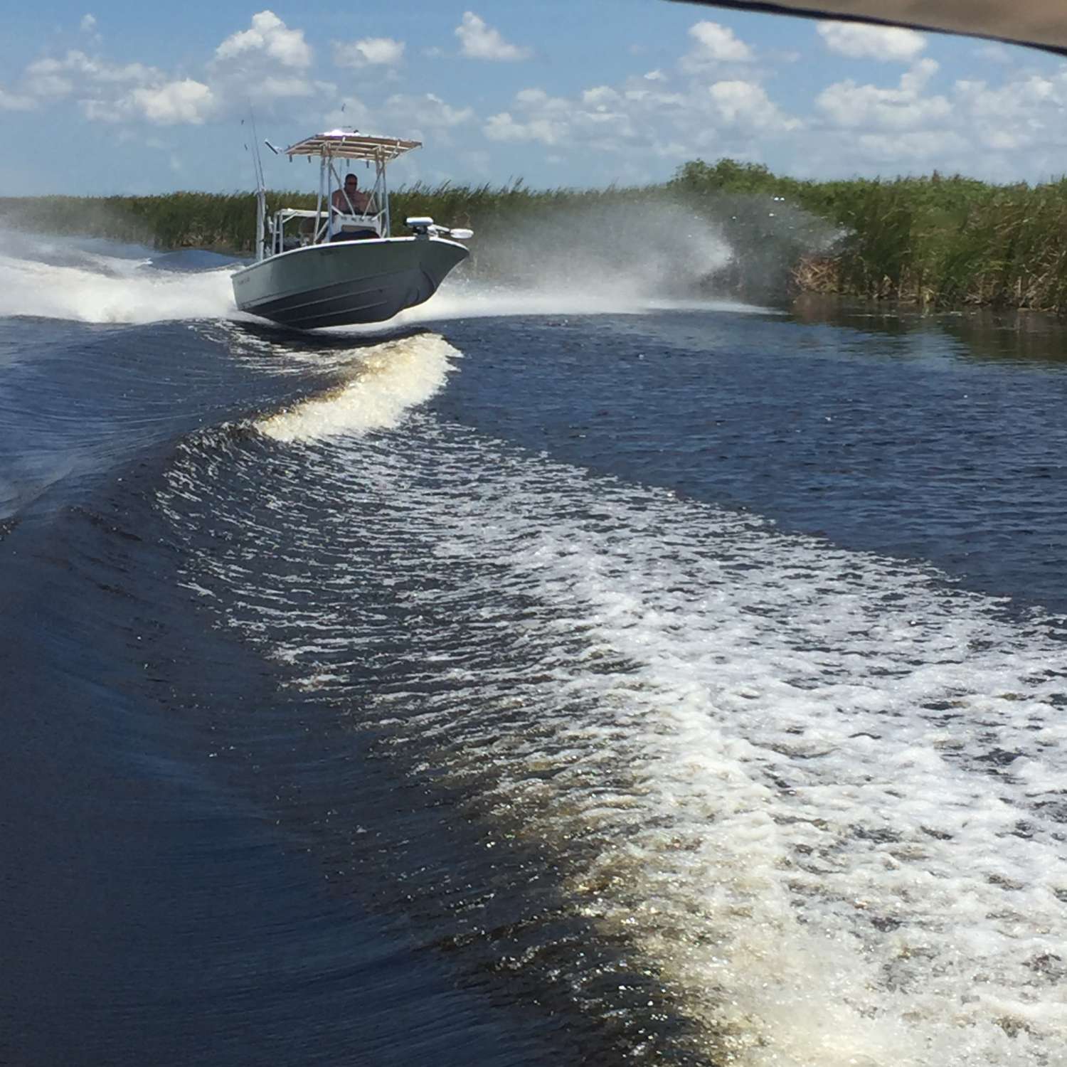 This was taken in the Everglades, on the way to the fishin hole.