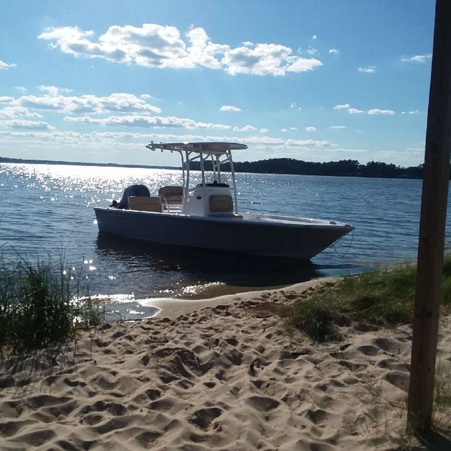 My photo was taken at a place we jokingly call weasel beach on the Pamlico River in North Carol...