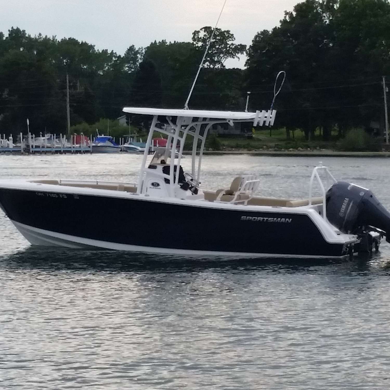 This is a beautiful 2017 231 Heritage  platinum at Put in bay ohio on lake Erie.