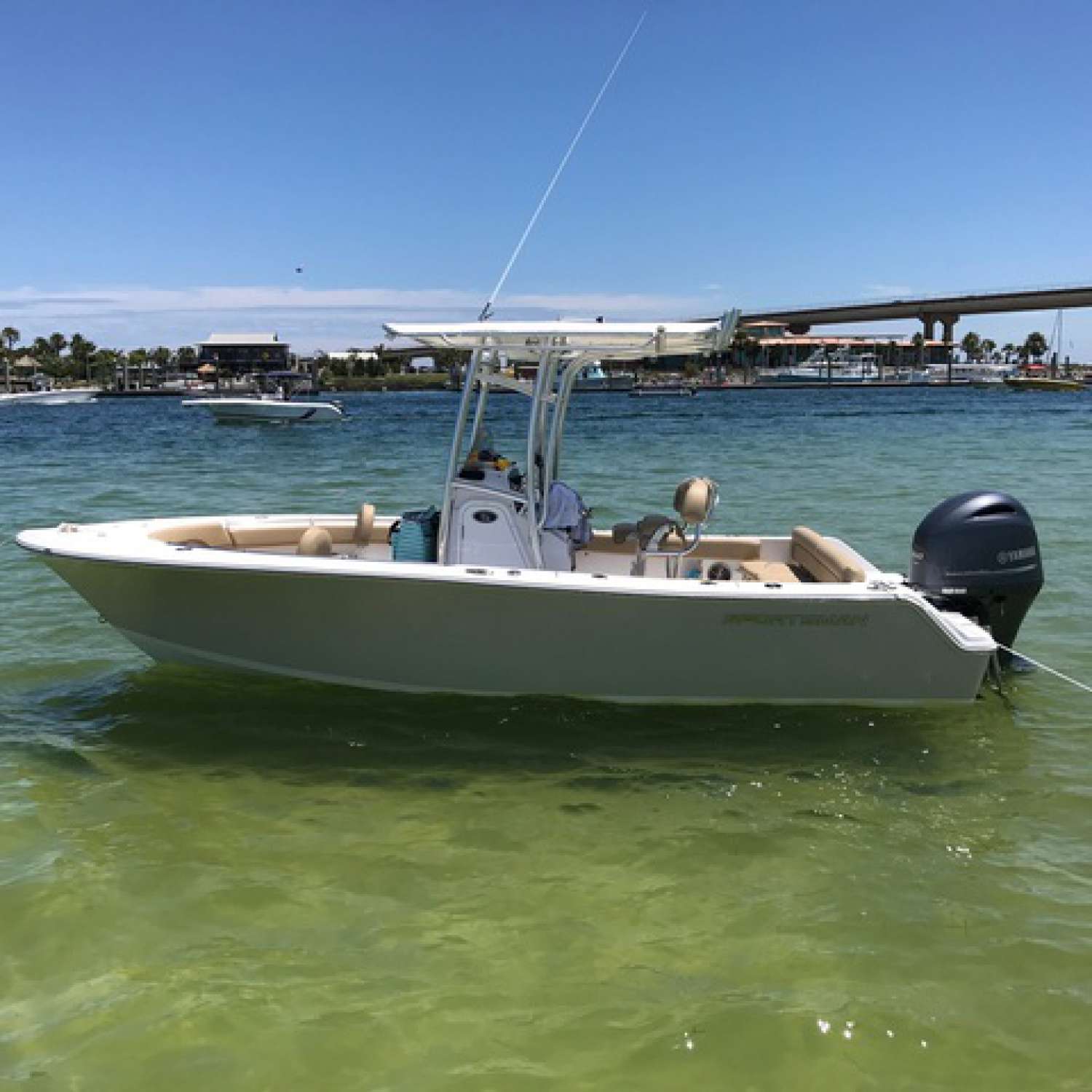 Orange Beach, Alabama. Sitting pretty at Robinson island.