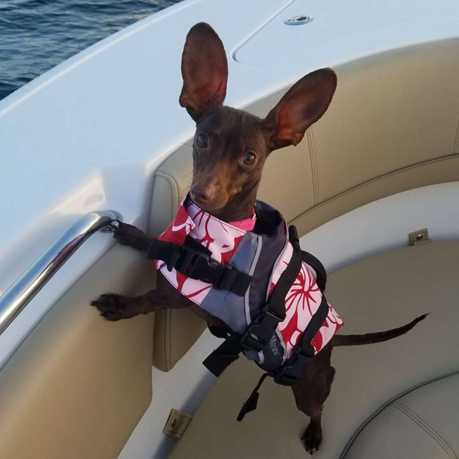 Photo take in Panama City Beach.  Annabelle enjoying our very first ride on our Sportsman Herit...