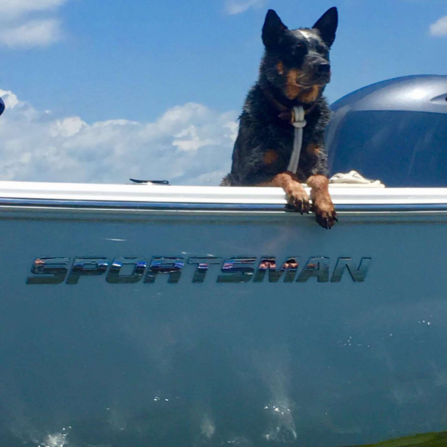 My photo was taken on Lake Moultrie with Wyatt, our Cattle Dog.