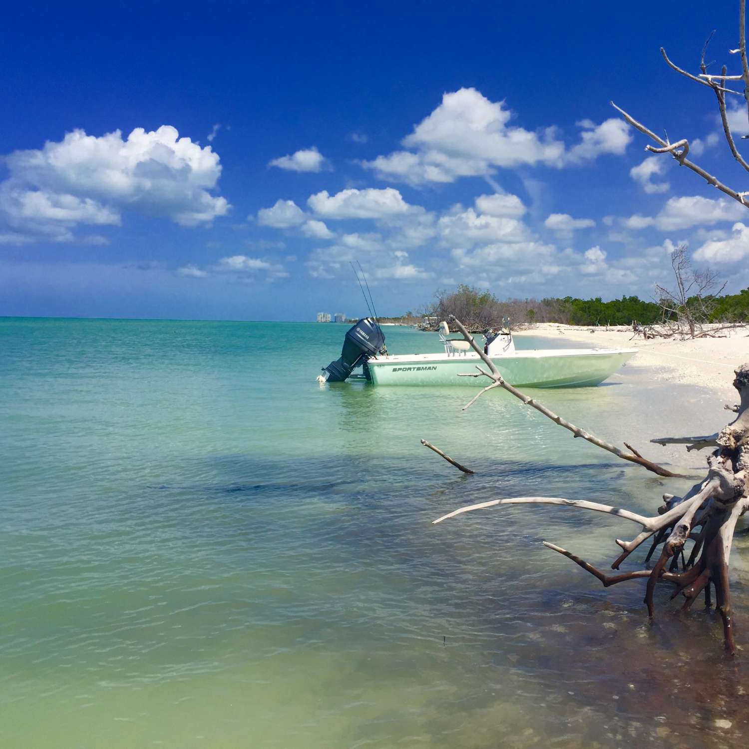 This photo was taken during a day of exploring the 10,000 islands.