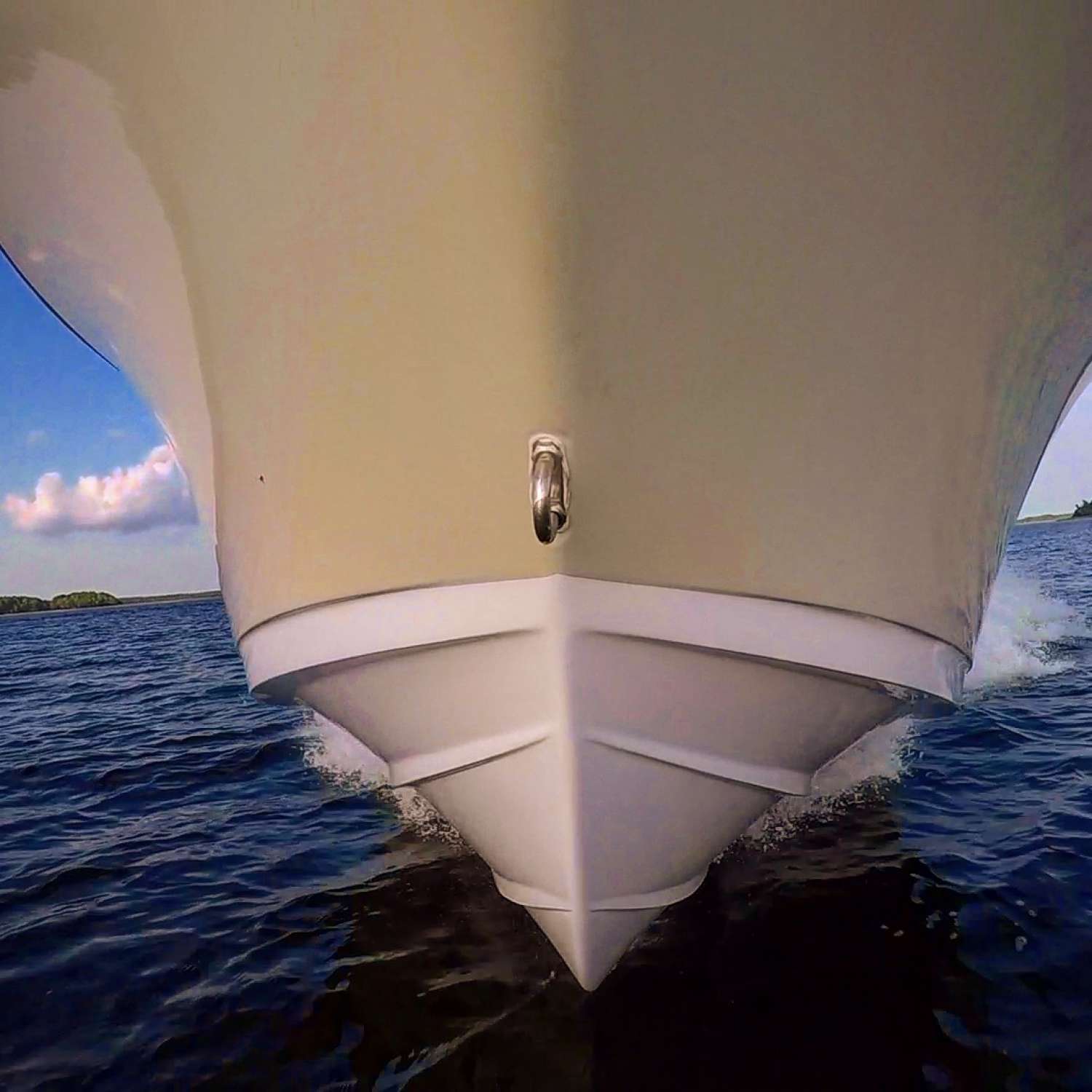 Bow riding high and proud in the Charleston Harbor.