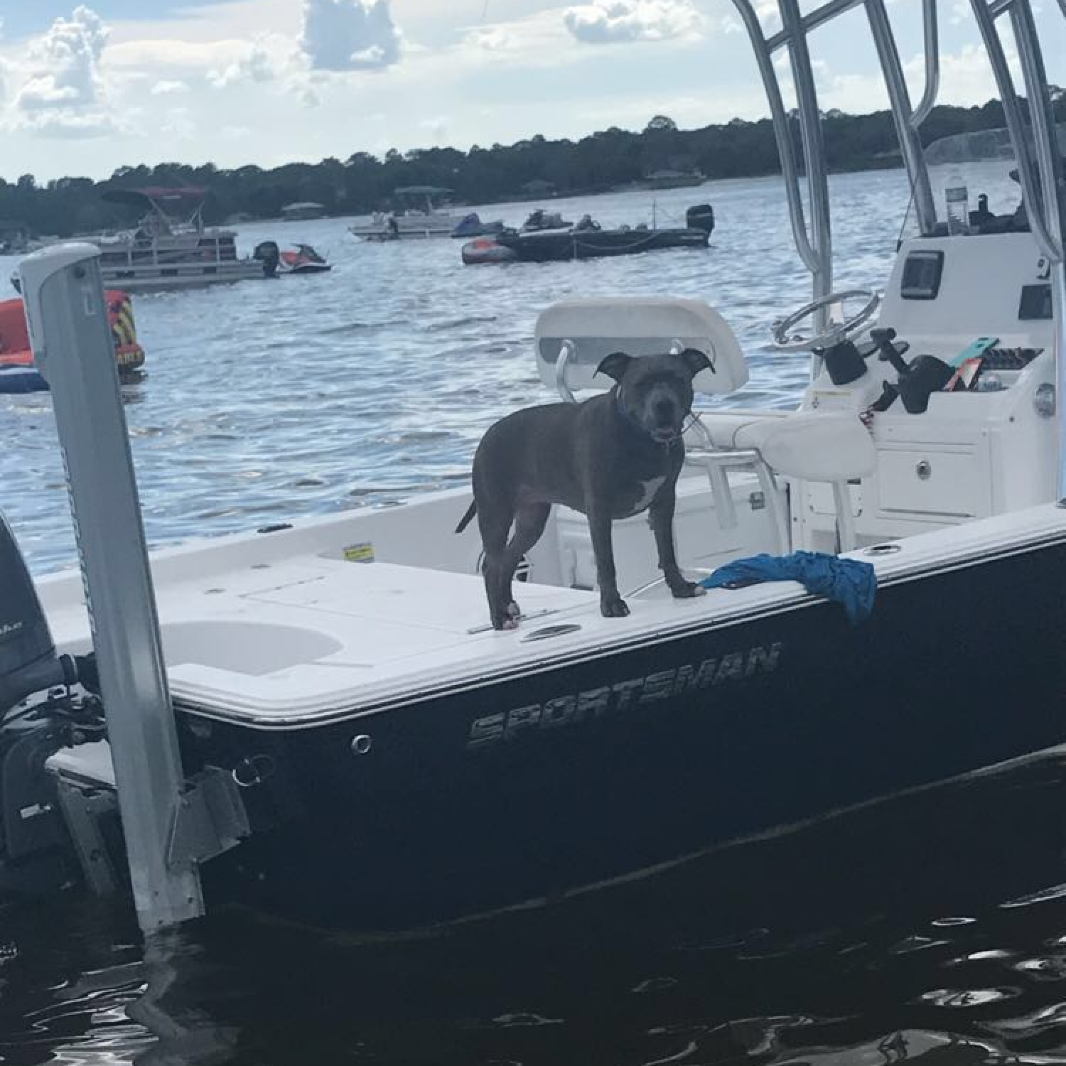 Photo was taken at lake June sandbar in lake placid Florida