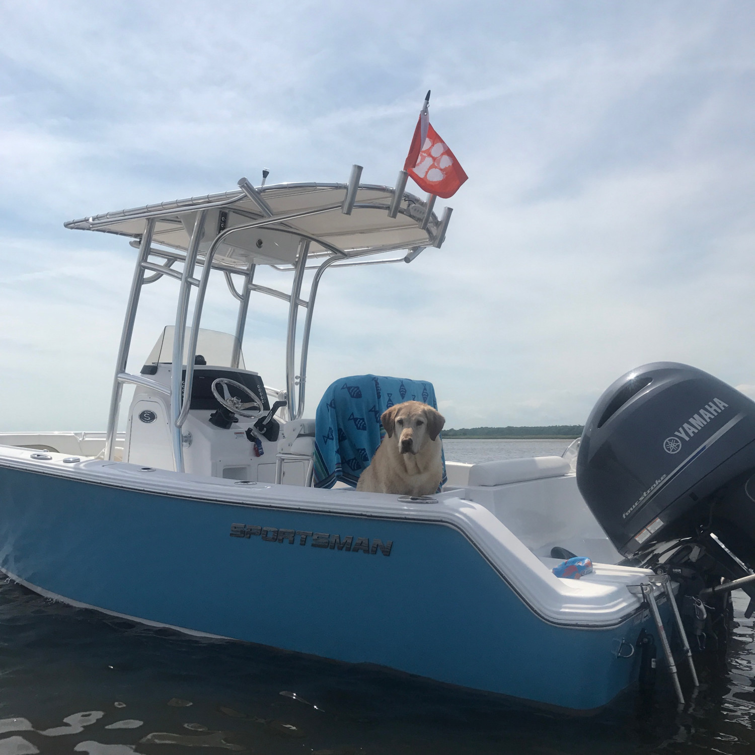 Owens boat. The space and layout. Open 212 Center Console