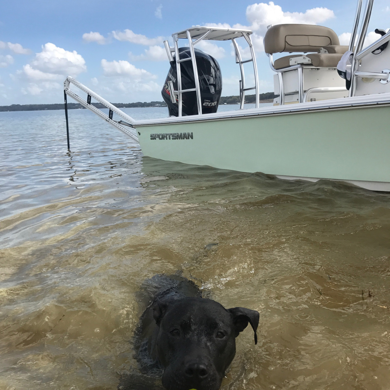 My dog Thor happily enjoying some fetch in-between fishing breaks on my 2015 Sportsman Tourname...