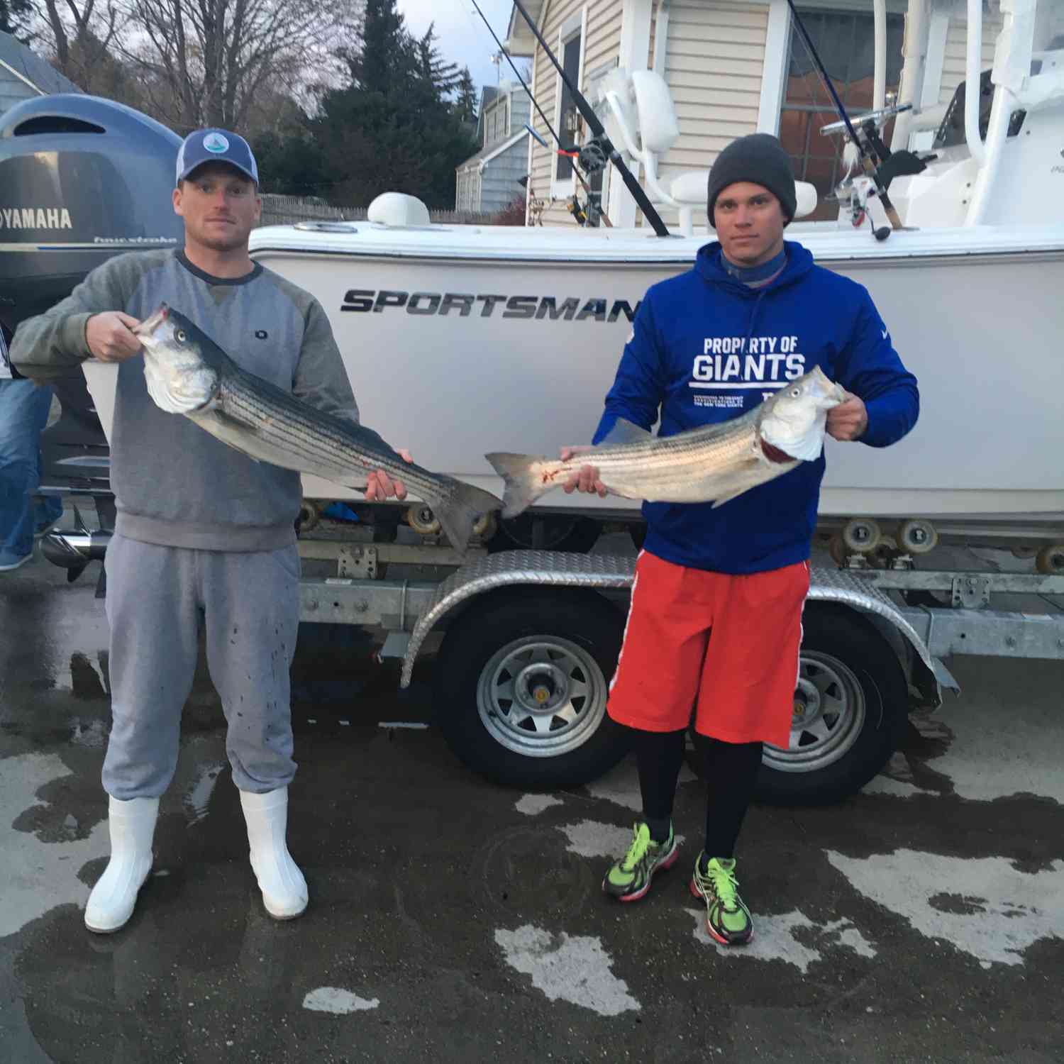 I was fishing in Montauk New York on my sportsman and caught these bass