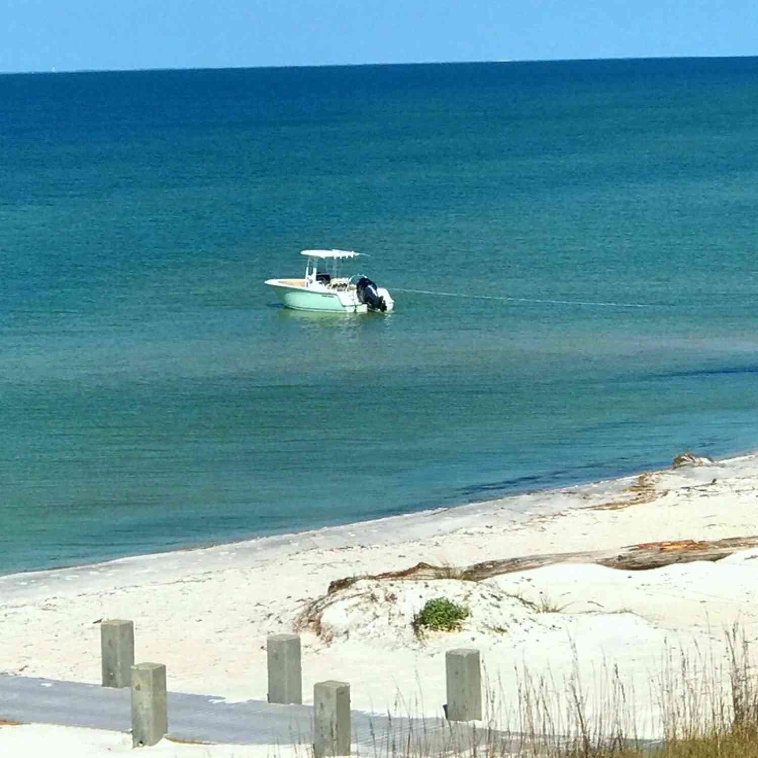 We took a trip out to Ship Island, MS the day before the island opened for the season.  I glanc...