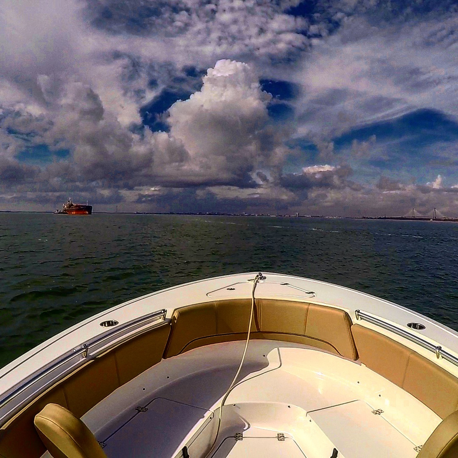 Cruising the Charleston Harbor on a 70 F winter day in January,