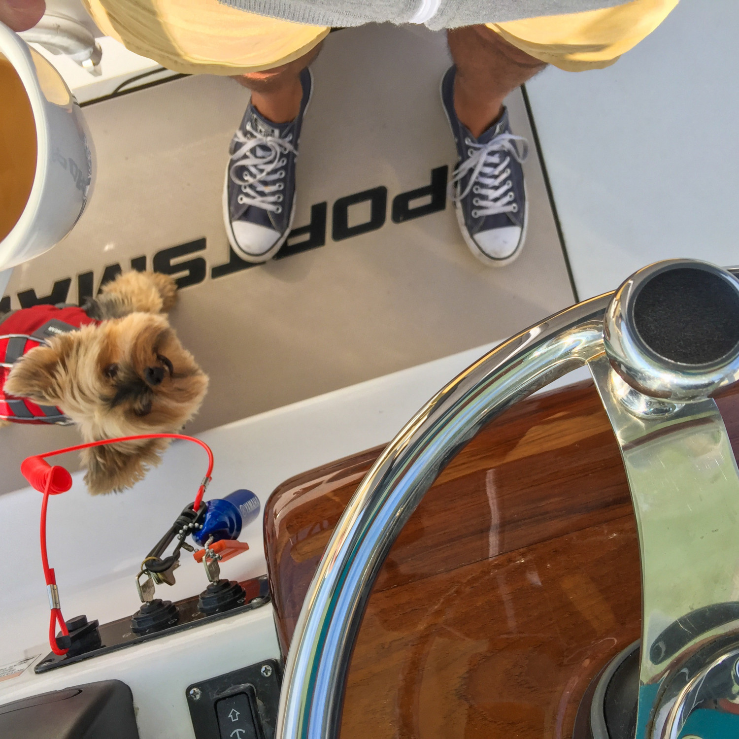 A morning ride can’t get much better — smooth bay, strong coffee, and the sidekick.