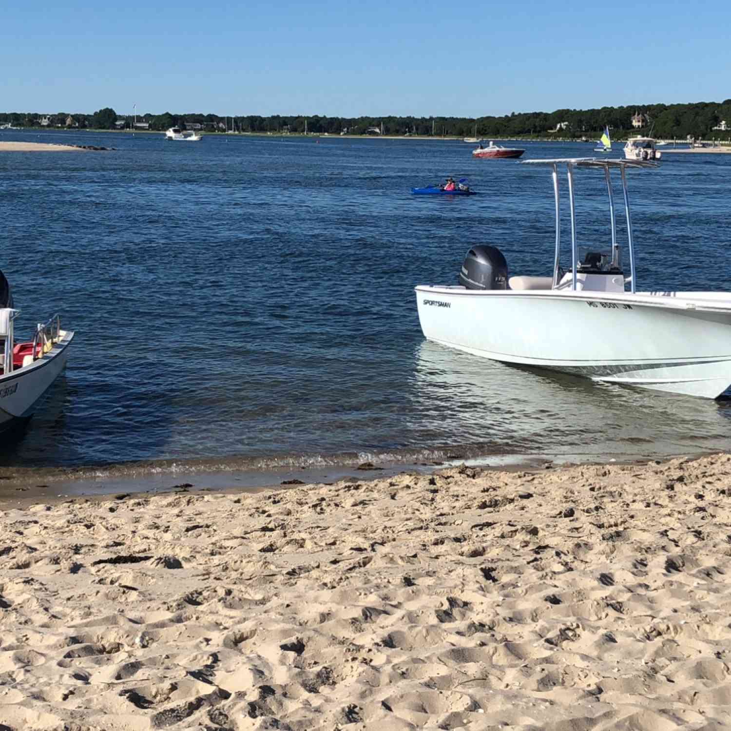 A beautiful Saturday afternoon on the island with sportsman and the boss whaler.