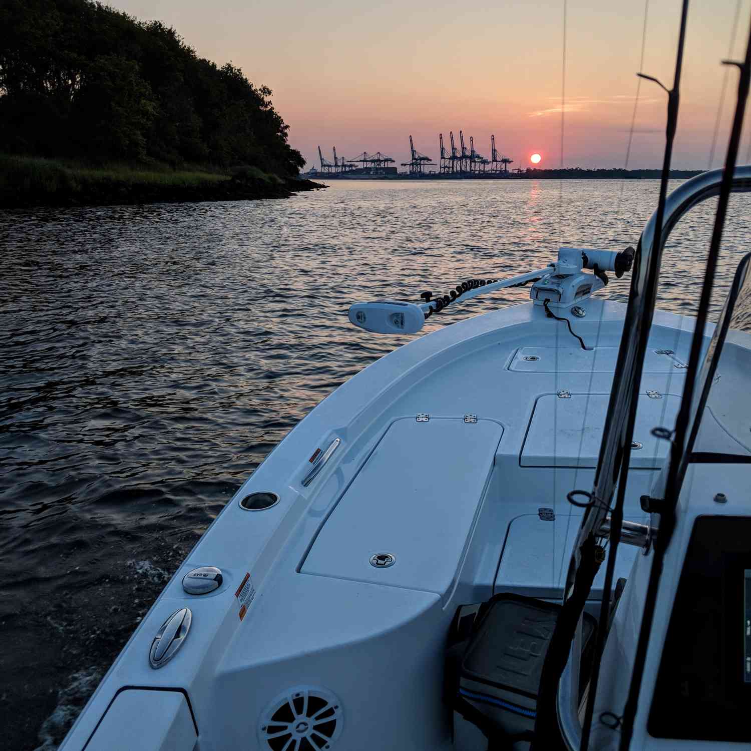 Taken at dawn while top water fishing for trout in Charleston