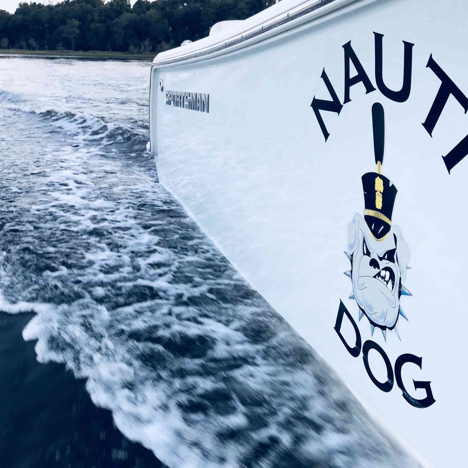 Great shot of the sportsman logo and water line of the Nauti Dog.