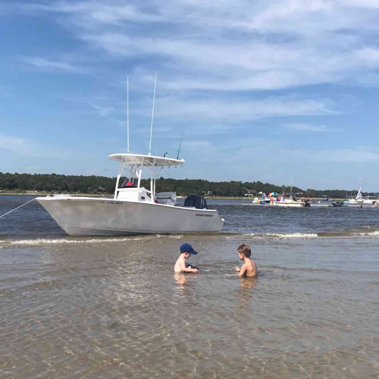 Best buds playing on the island.