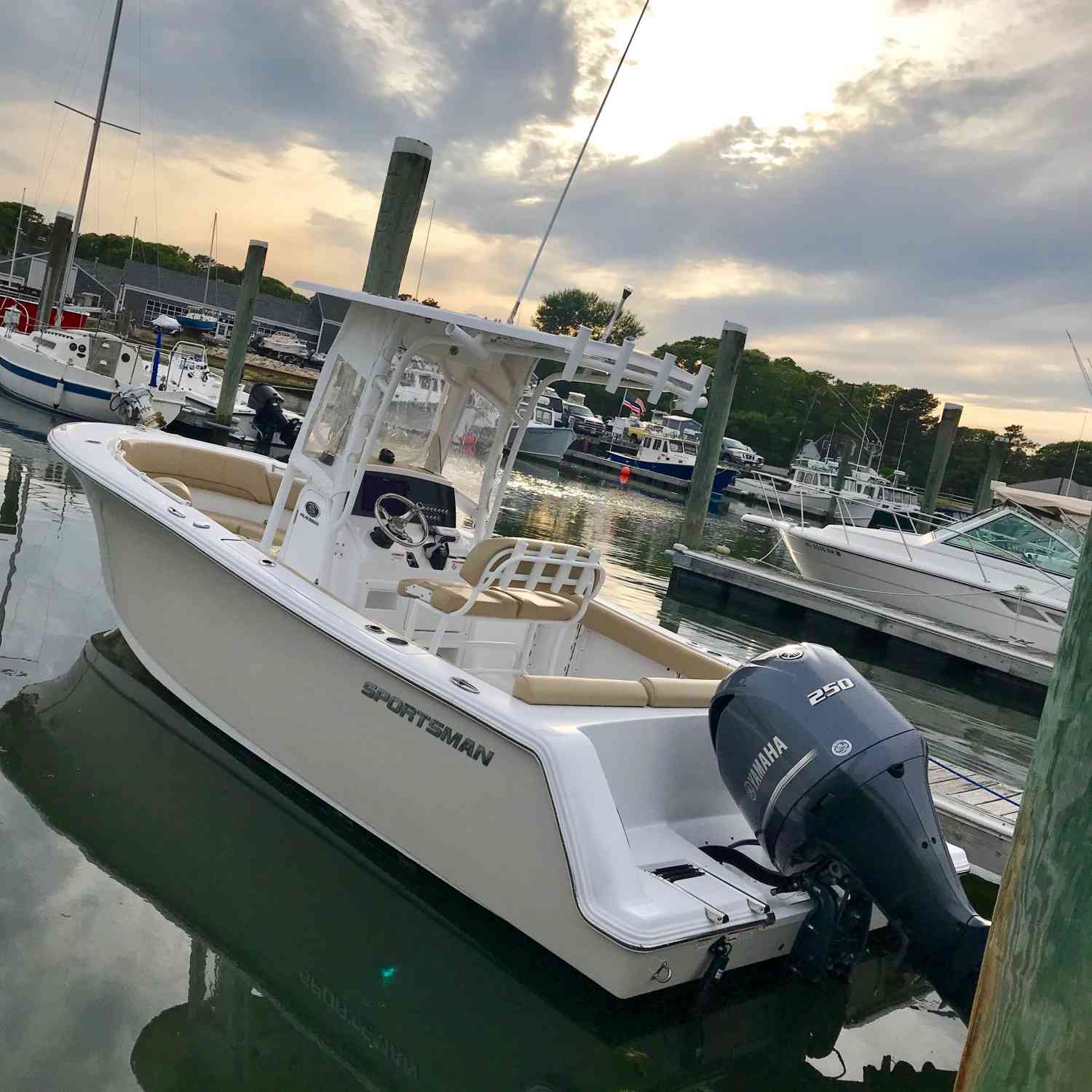 Post afternoon jaunt in the Atlantic. Cape Cod, Massachusetts