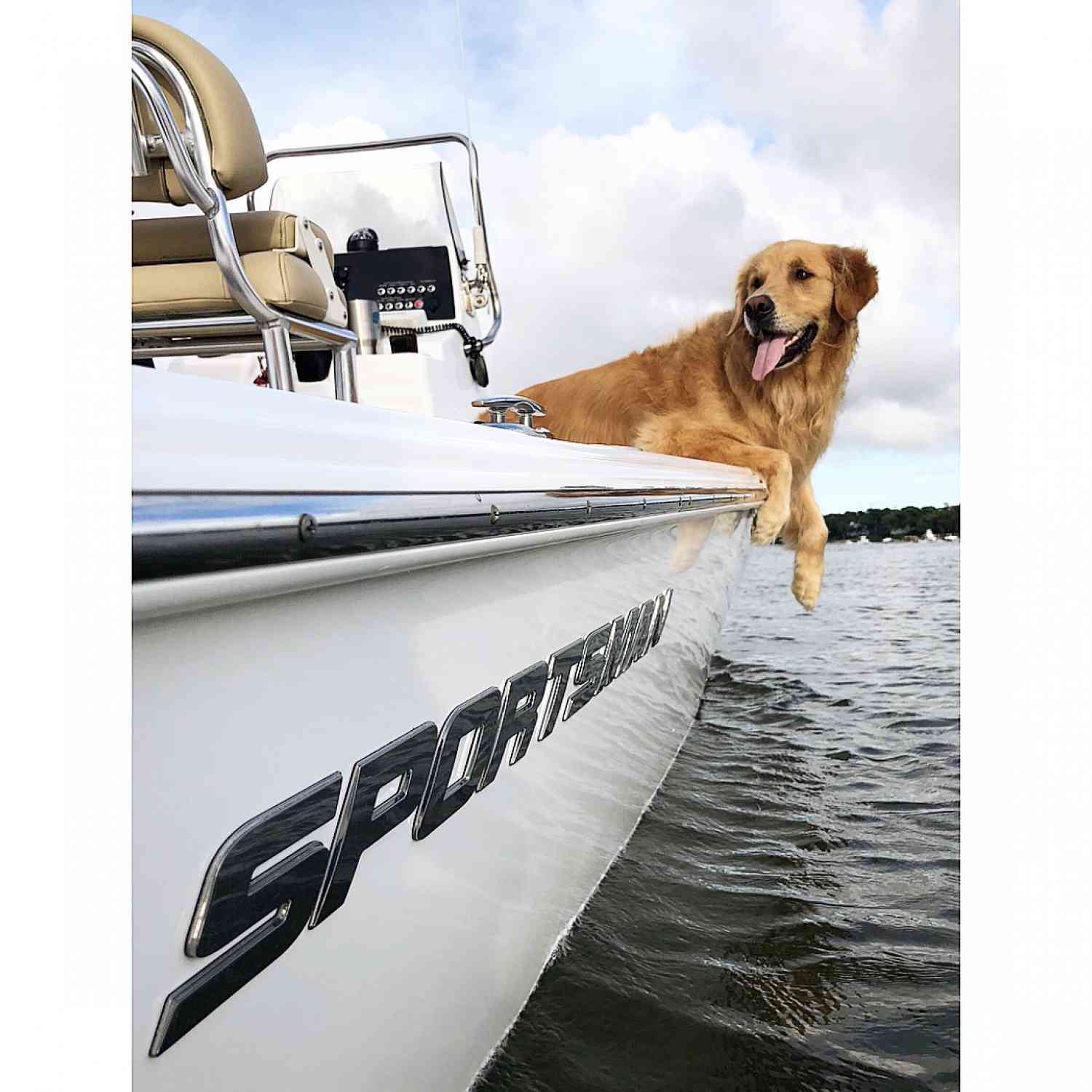 Friday boat rides with Sully